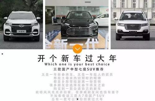 六七座国产车推荐吗视频