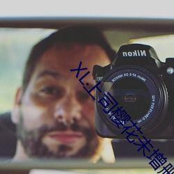 欧美国产综合视频o,多元文化交融的视听盛宴