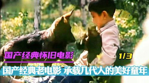 国产老电影语录大全视频