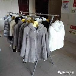 国产貂皮与进口貂皮视频,国产与进口貂皮品质对比揭秘