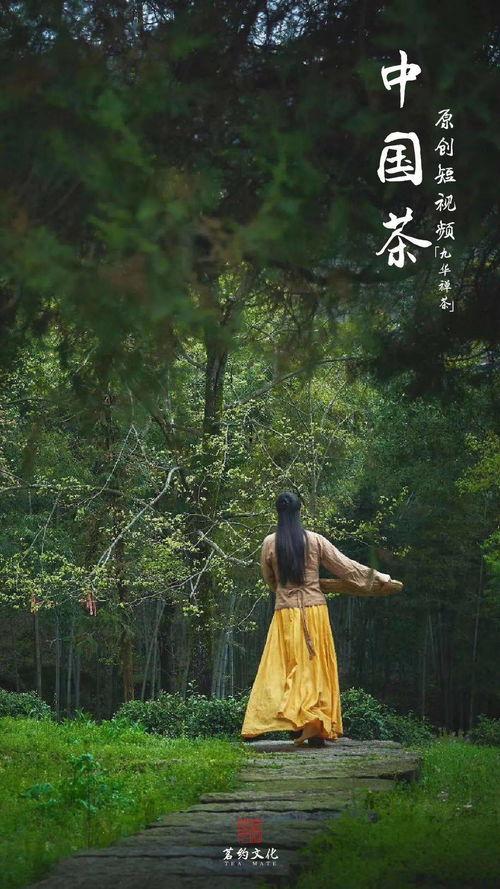 日本国产原创视频,本土创意的视听盛宴  第2张