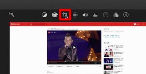 国产 小视频 种子  第3张