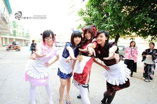 国产女仆在线观看视频,在线观看视频带你领略独特魅力