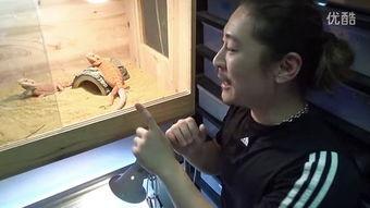 国产搬运工视频在线播放,揭秘线上搬运工生活，带你走进真实工作现场