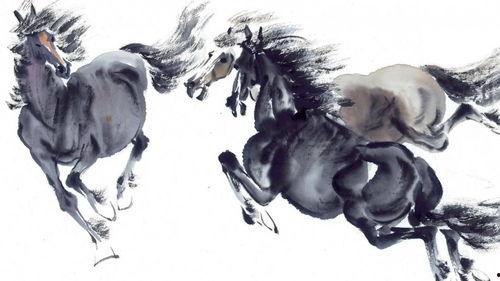 国产人与马姓晈视频,揭秘神秘视频背后的故事  第2张