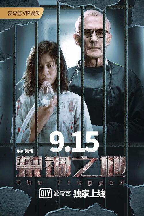 国产电影美丽点评视频,国产电影中的光影魅力与情感共鸣  第3张